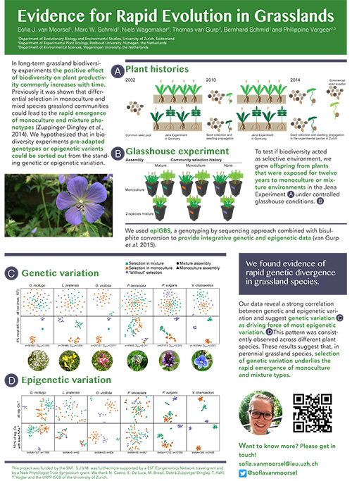 Poster of Evidence for rapid evolution in grasslands'.